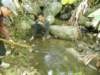 thailand200910117_small.jpg