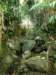 thailand200910118_small.jpg