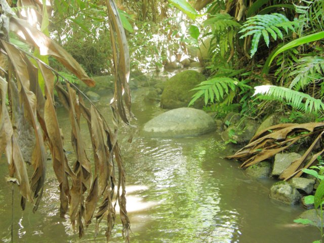 thailand200910119.jpg