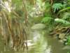 thailand200910119_small.jpg