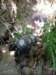 thailand200910120_small.jpg