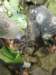 thailand200910121_small.jpg