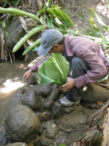 thailand200910122.jpg