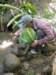 thailand200910122_small.jpg