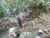 thailand200910124_small.jpg