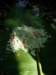 thailand200910126_small.jpg