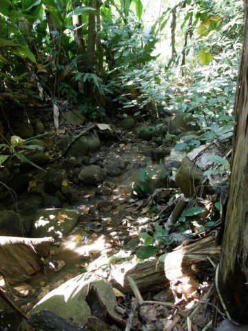 thailand200910127.jpg