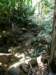 thailand200910127_small.jpg