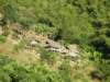 thailand20091012_small.jpg