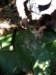 thailand200910133_small.jpg
