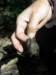 thailand200910134_small.jpg