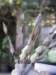 thailand200910141_small.jpg