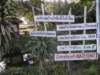 thailand200910143_small.jpg