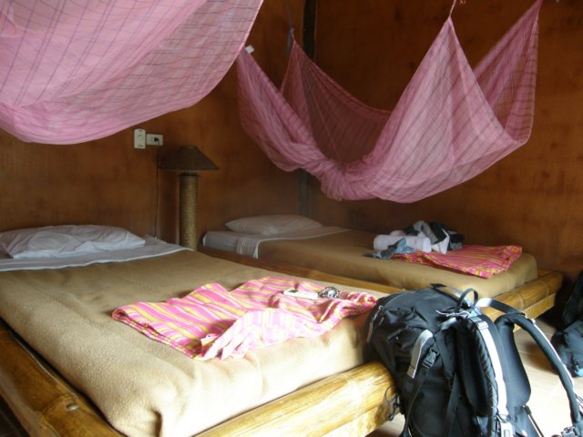 thailand200910149.jpg