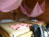 thailand200910149_small.jpg
