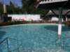 thailand200910154_small.jpg