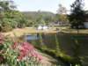 thailand200910155_small.jpg