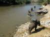 thailand200910163_small.jpg