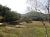 thailand200910165_small.jpg