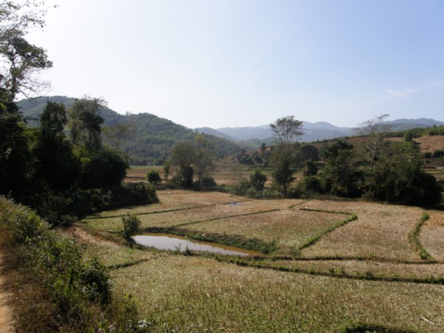 thailand200910168.jpg