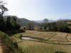 thailand200910168_small.jpg