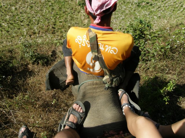 thailand200910170.jpg