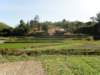 thailand200910171_small.jpg