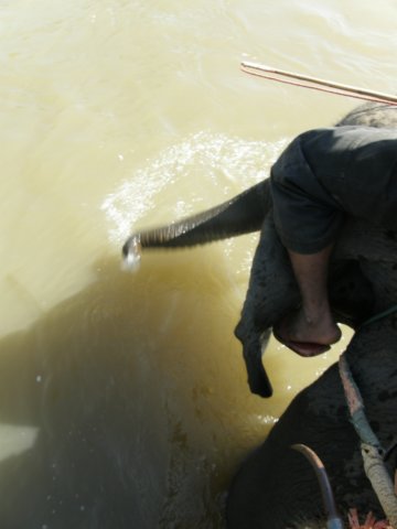thailand200910174.jpg