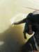 thailand200910174_small.jpg