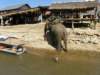 thailand200910175_small.jpg