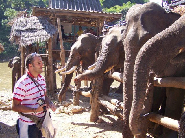 thailand200910177.jpg