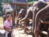 thailand200910177_small.jpg