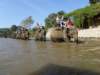 thailand200910181_small.jpg