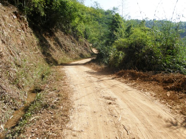 thailand200910183.jpg