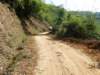 thailand200910183_small.jpg