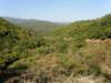 thailand200910184_small.jpg