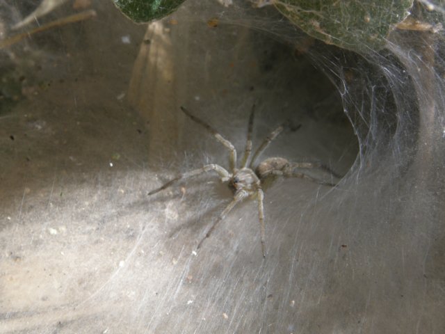 thailand200910185.jpg