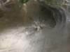 thailand200910185_small.jpg