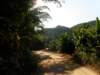 thailand200910187_small.jpg