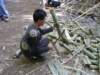 thailand20091018_small.jpg