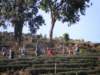 thailand200910190_small.jpg