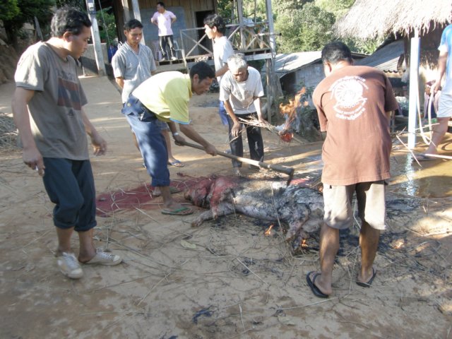 thailand200910191.jpg