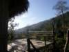 thailand200910212_small.jpg