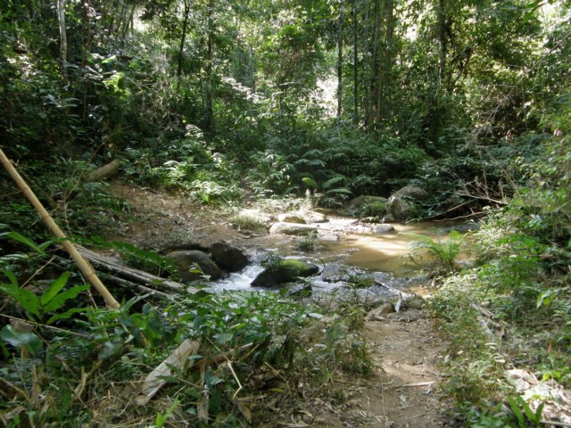 thailand20091022.jpg