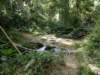 thailand20091022_small.jpg