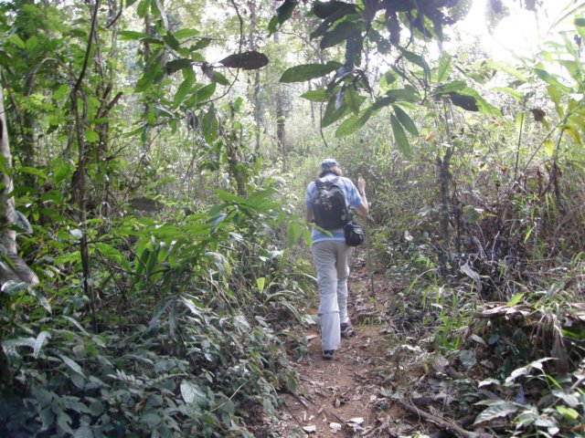 thailand20091024.jpg
