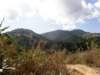 thailand20091025_small.jpg