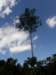 thailand20091027_small.jpg