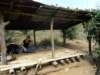 thailand20091028_small.jpg