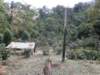 thailand20091029_small.jpg